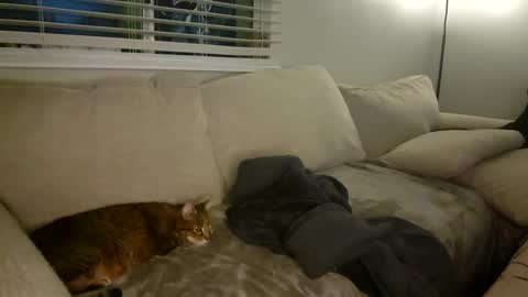 GoddessMayvn online show from January 2025 10:34:02 AM