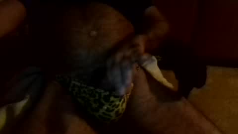 gojo885 online show from January 2025 03:23:02 AM