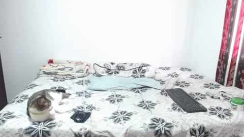 gold_shooter online show from March 2026 02:56:02 PM