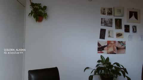 Alaska online show from November 2025 08:07:01 PM