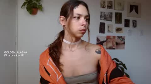 Alaska online show from November 2025 11:54:01 AM