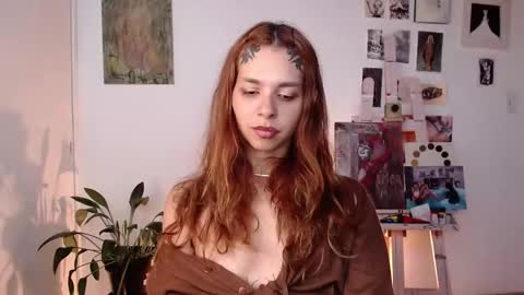 Alaska online show from March 2026 01:17:02 PM