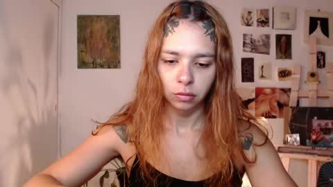 Alaska online show from April 2026 10:55:01 AM