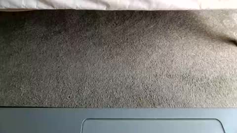 watch me stroke online show from April 2026 05:36:01 PM