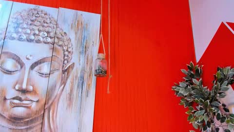 grace online show from November 2025 08:00:01 PM