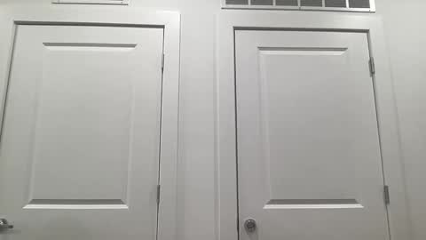 grace bailey online show from February 2026 03:01:02 AM