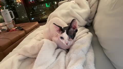 Gracie Mae online show from December 2025 03:48:01 AM