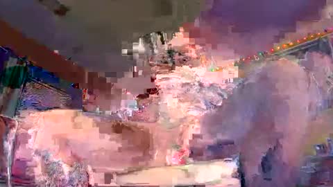 grambag1995 online show from March 2026 04:52:01 AM