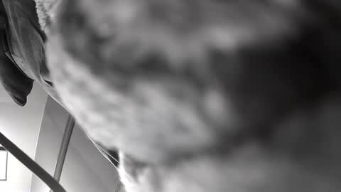 Snapshot of gratiotony chatting on December 2024 06:22:02 AM Get US to 1000 you wont be disapointed online show from December 2024 06:22:02 AM