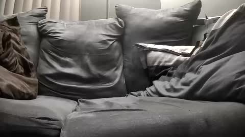 Snapshot of gratiotony chatting on December 2024 08:45:02 AM Get US to 1000 you wont be disapointed online show from December 2024 08:45:02 AM