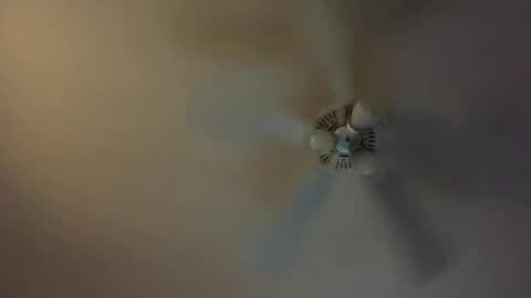 grd137 online show from March 2025 09:28:01 AM