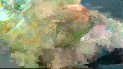 greatbiggs6969 online show from January 2025 02:35:02 PM