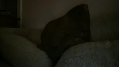 Sonny online show from December 2024 02:35:02 AM