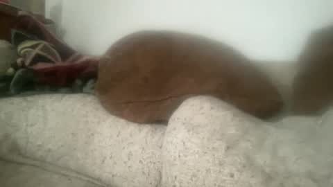 Sonny online show from December 2025 06:04:02 PM