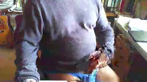 greyhounddog online show from March 2026 10:07:01 AM