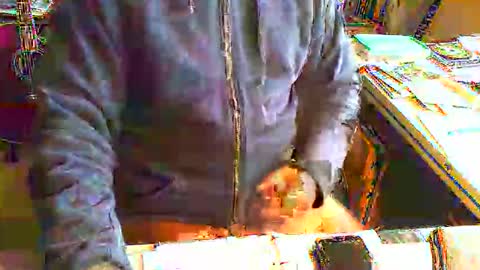 greyhounddog online show from June 2026 08:34:02 AM