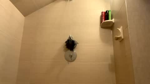 Snapshot of greyvan96 chatting on December 2024 01:30:02 PM Perfectlyaveragesavage online show from December 2024 01:30:02 PM