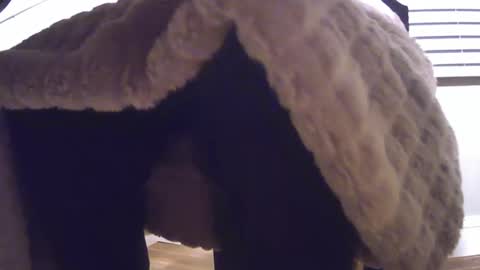 Snapshot of grower2153 chatting on November 2025 12:05:02 PM grower2153 online show from November 2025 12:05:02 PM