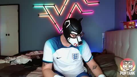 Alpha pup online show from November 2025 07:16:02 PM