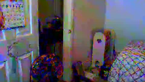 Gary online show from January 2025 11:29:02 AM