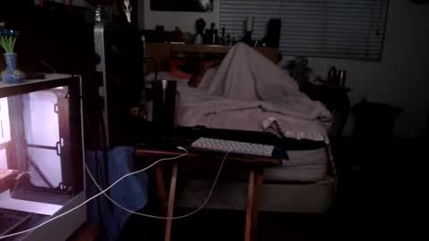 Mario online show from February 2026 02:04:02 PM