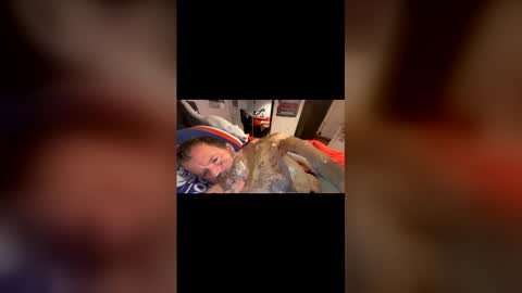 h20976 online show from March 2026 11:35:01 AM