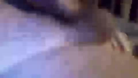 h_rd333 online show from March 2025 01:45:01 PM