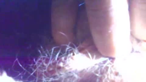 hagridthehorrible online show from November 2025 11:23:02 AM