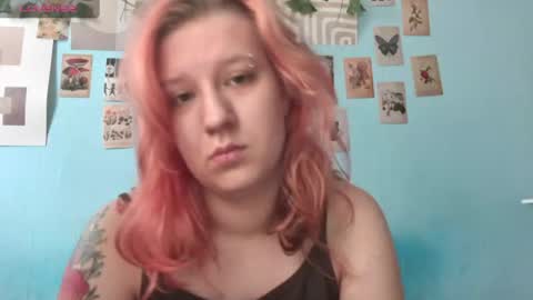 Snapshot of haileyfoxy chatting on July 2026 02:51:02 AM Hailey online show from July 2026 02:51:02 AM