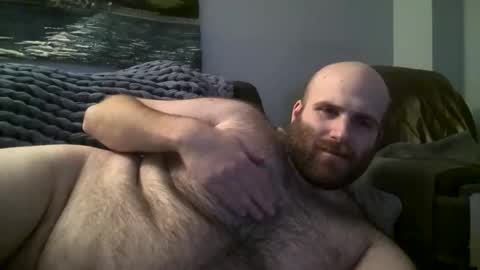 Hairiest Bear online show from January 2025 07:41:01 AM