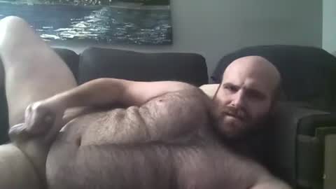 Hairiest Bear online show from January 2025 07:04:01 AM