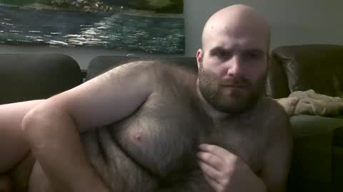 Hairiest Bear online show from February 2025 05:51:02 AM