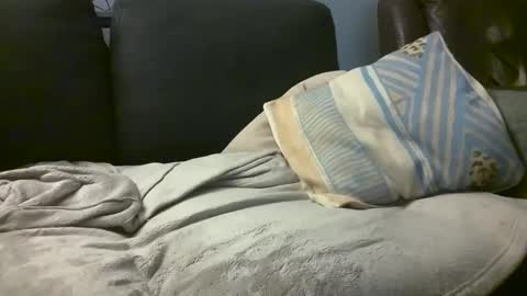 Hairiest Bear online show from February 2025 08:16:01 AM