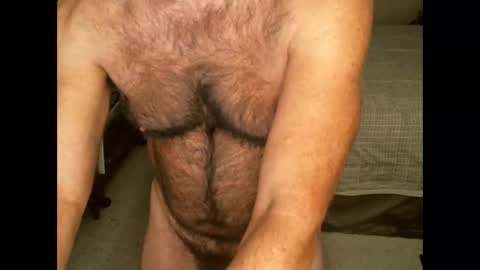 Hairy pecs online show from November 2025 08:39:02 AM