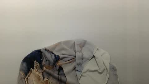 Snapshot of hairytonkas chatting on December 2024 09:52:02 PM HairyTonkas online show from December 2024 09:52:02 PM