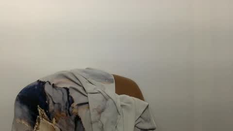 Snapshot of hairytonkas chatting on December 2024 12:06:02 AM HairyTonkas online show from December 2024 12:06:02 AM