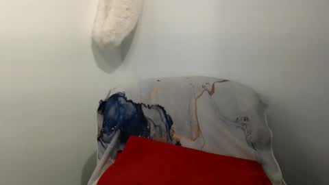 Snapshot of hairytonkas chatting on January 2025 02:57:01 AM HairyTonkas online show from January 2025 02:57:01 AM