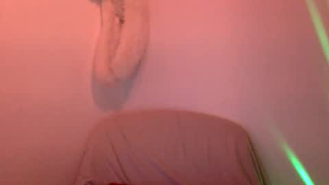 Snapshot of hairytonkas chatting on January 2025 02:27:02 AM HairyTonkas online show from January 2025 02:27:02 AM