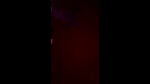 halfhorsefr online show from June 2026 08:24:02 AM