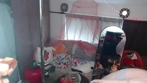 Snapshot of halovalentine chatting on May 2026 04:15:02 PM halovalentine online show from May 2026 04:15:02 PM