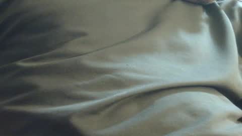 Snapshot of hamhead71 chatting on December 2024 11:58:01 PM hamhead71 online show from December 2024 11:58:01 PM