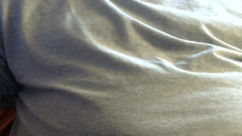 Snapshot of hamhead71 chatting on January 2025 02:42:01 PM hamhead71 online show from January 2025 02:42:01 PM