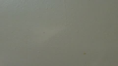 Snapshot of hamhead71 chatting on February 2025 01:36:01 AM hamhead71 online show from February 2025 01:36:01 AM