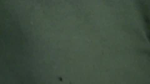 Snapshot of hamhead71 chatting on June 2026 07:16:02 PM hamhead71 online show from June 2026 07:16:02 PM