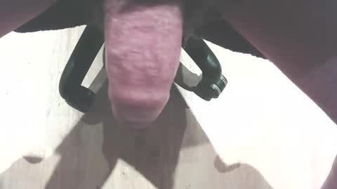 hammerhard1 online show from March 2026 09:45:01 AM