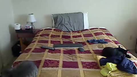 hammerthatthang73 online show from March 2026 05:05:02 PM