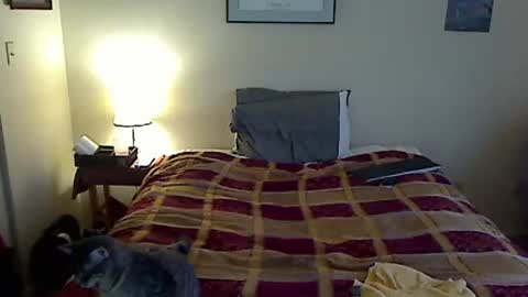 hammerthatthang73 online show from March 2026 10:14:01 PM