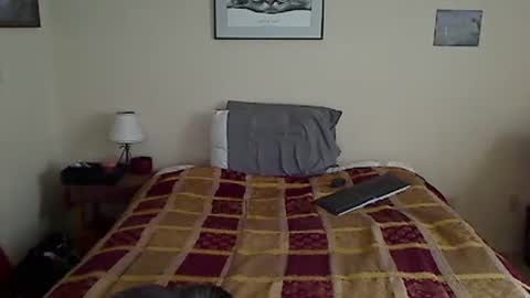 hammerthatthang73 online show from April 2026 01:12:02 PM