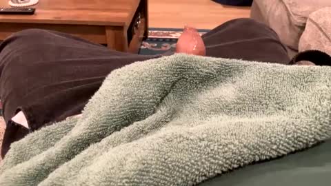 handhugger online show from December 2024 08:28:02 PM