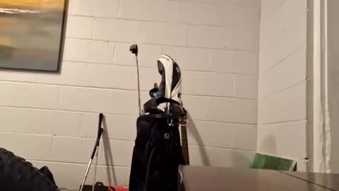 handylong88 online show from January 2026 10:11:02 PM